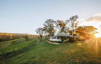 Taste of the Blue Mountains - Lunch & Wine tasting, Beer, Cider & Gin Tasting